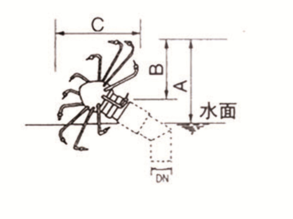 HZ旋转蟹爪兰